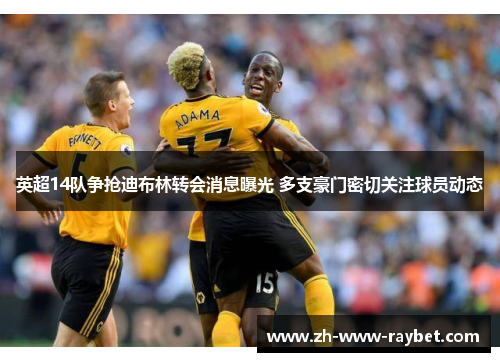 英超14队争抢迪布林转会消息曝光 多支豪门密切关注球员动态 英超14队争抢迪布林转会消息曝光 多支豪门密切关注球员动态